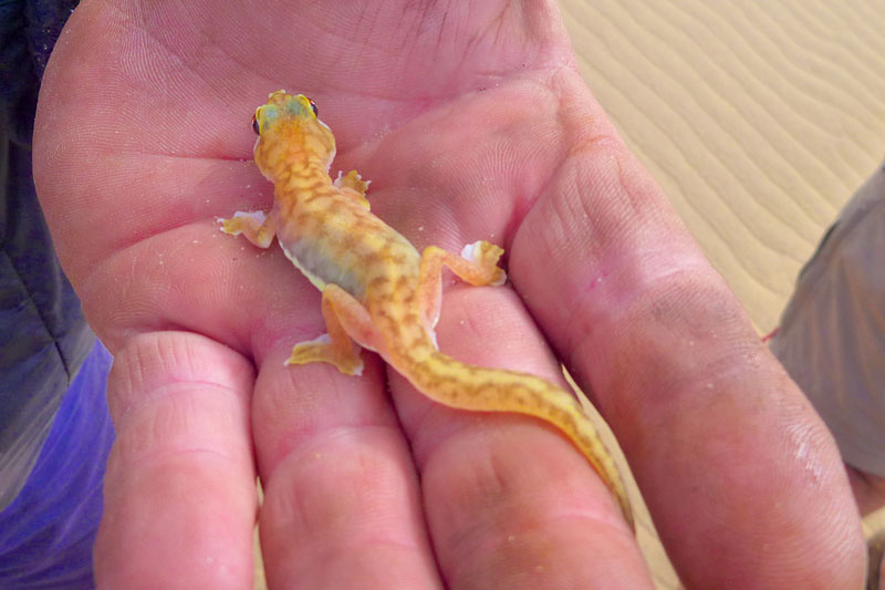 Namibia